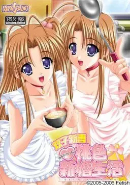 双子新妻遥与刹那的桃色新婚生活 封面