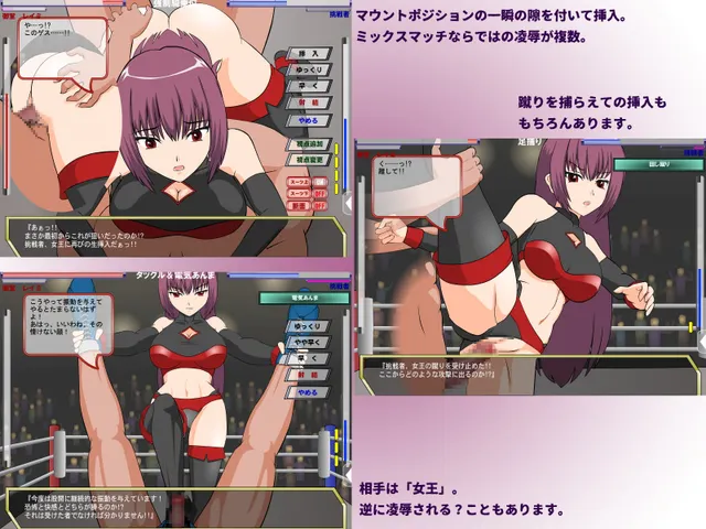 闘技女王レイミ 预览图 3