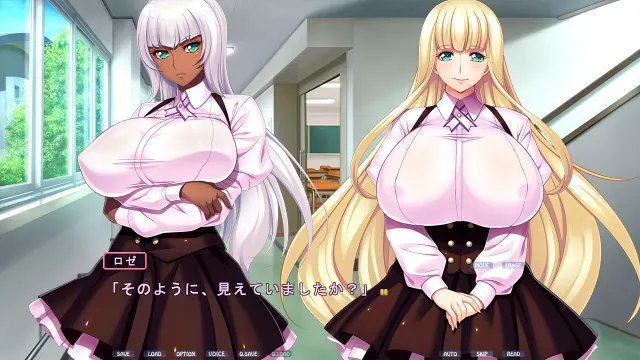 プリンセスハートリンク～剣姫たちの艶舞～ 预览图 9