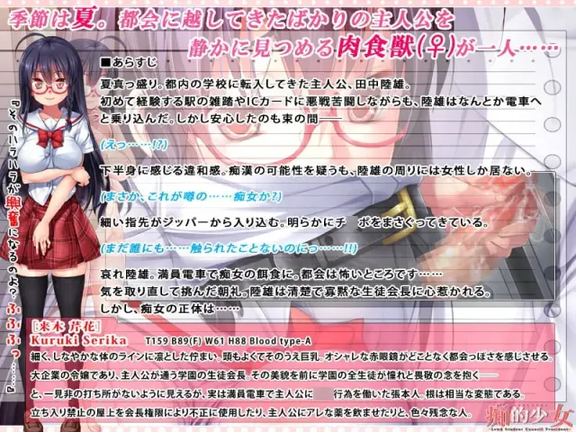 痴的少女 -Lewd Student Council President- 预览图 11