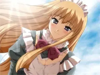 无尽的女仆们之夜 预览图 4