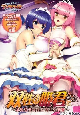 双性的公主~双性姐妹与魔王的求爱~ 封面