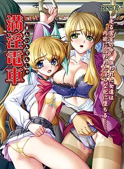 满淫电车 封面