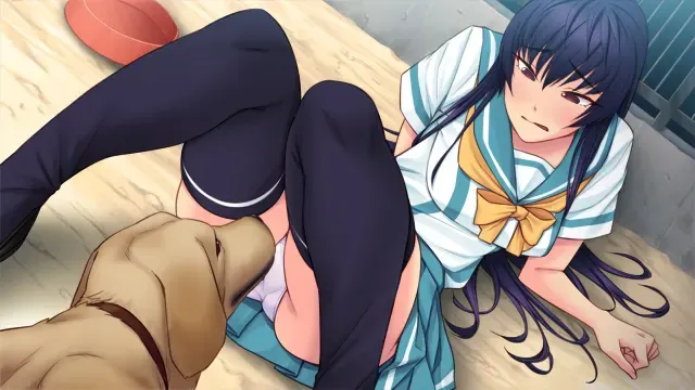 爱上丝瓜的女校学生 -JK×JK- 预览图 2