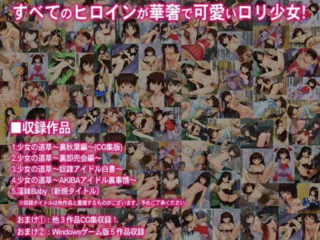 少女の道草～奴隷アイドル白書～ 预览图 14