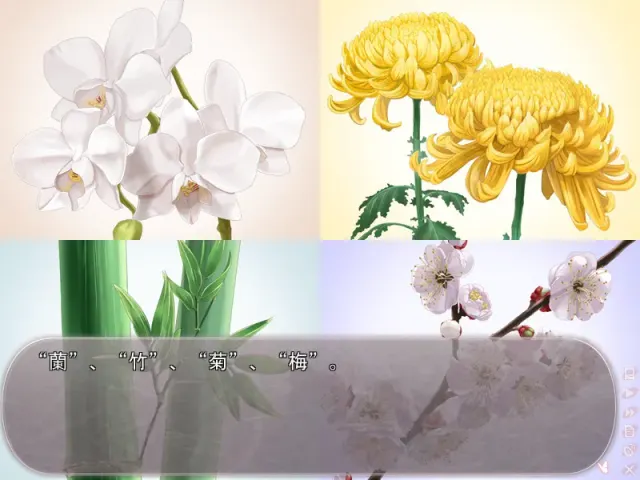 从晴朗的朝色泛起之际开始 预览图 8