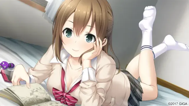 フルキス 预览图 12