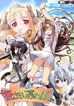姫さま凛々しく！ 封面