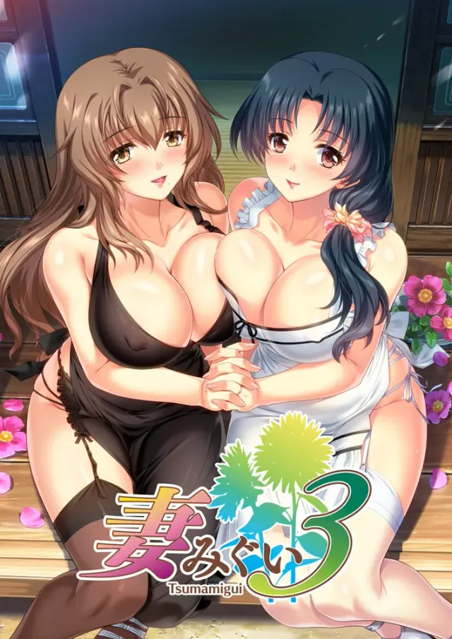 妻中蜜 3 封面