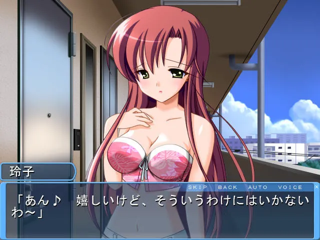 ドキドキお姉さん 预览图 4