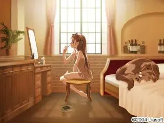 サフィズムの舷窓 预览图 25