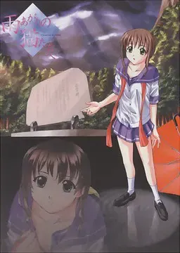 致雨后的猫们 封面