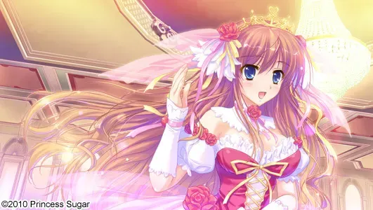 姫様限定！～Princess Limited～ 预览图 10