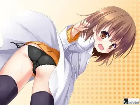 麻雀 2014 预览图 7