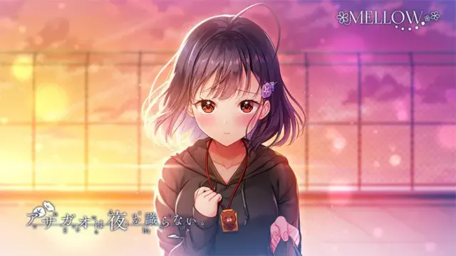 牵牛花不识夜。 预览图 27