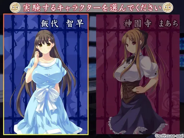 淫欲操作～密室中的性欲实验～ 预览图 13