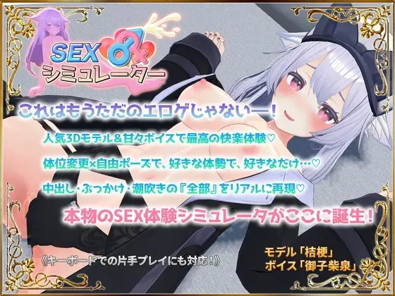 性爱模拟器 封面