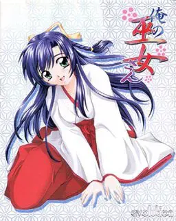 我的巫女 封面