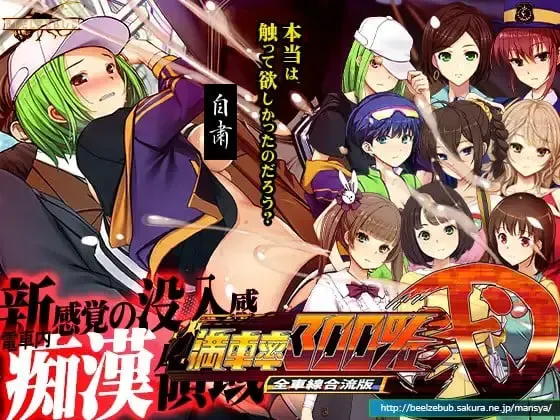 满车率300% 贰 封面
