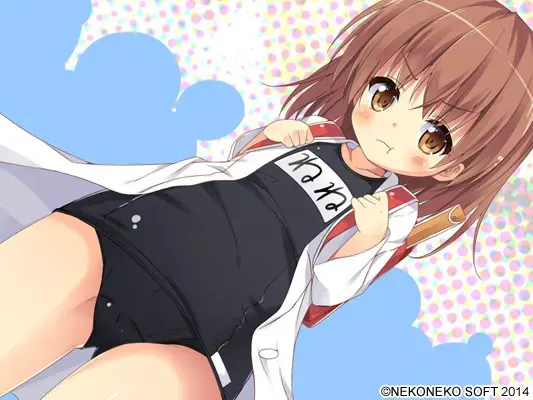 麻雀 2014 预览图 11