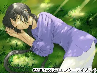 情归故里 预览图 15