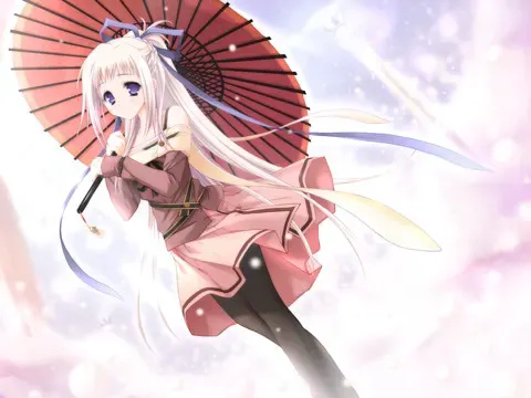 终有一日愿遂彼空 预览图 15