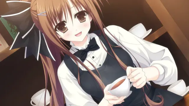 古色迷宫轮舞曲～HISTOIRE DE DESTIN～ 预览图 13