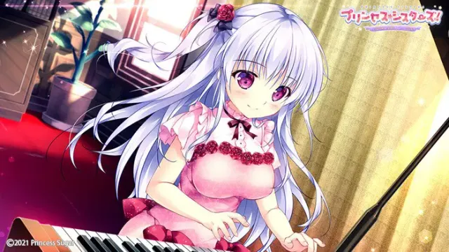 公主☆姐妹！～四姐妹全是你的未婚妻～ 预览图 2