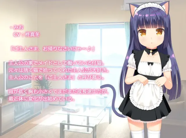与小奶猫创造家族 预览图 13
