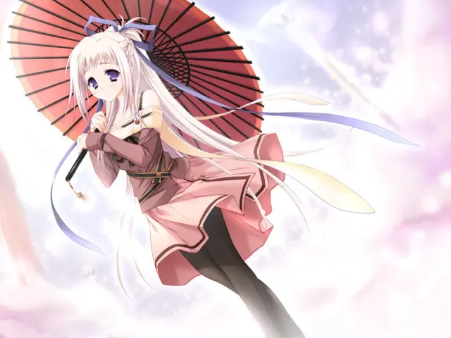终有一日愿遂彼空 预览图 3