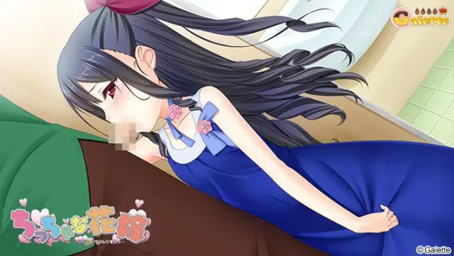 小小新娘 ～还只是花苞嘛～ 预览图 13