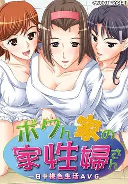 ボクん家の家性婦さん 封面