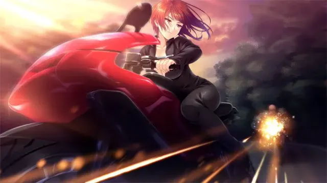 Missing-X-Link ~圣堂摇篮、侍之花~ 预览图 23