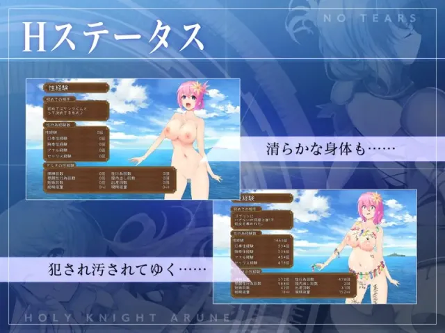 圣骑士阿尔涅与魔孕咒印～Another No Tears～ 预览图 6