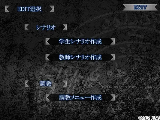 定制奴隶II 预览图 12