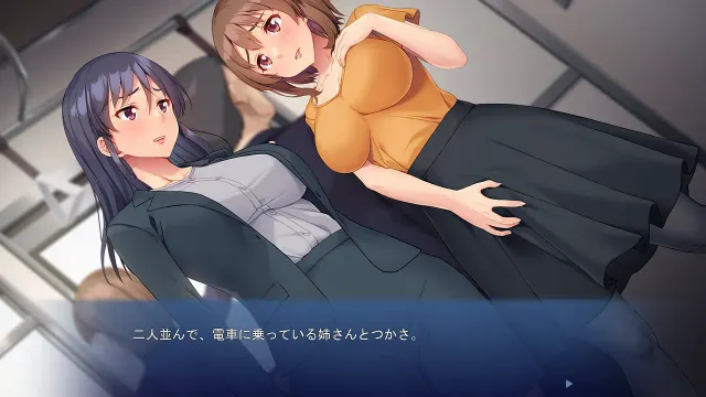 我教了同性恋姐姐如何与男人交往 预览图 2