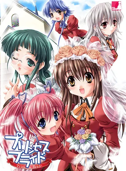 公主新娘 封面