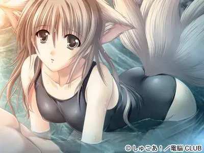 狐狸Summer ～夏合宿附赠女孩子～ 预览图 23