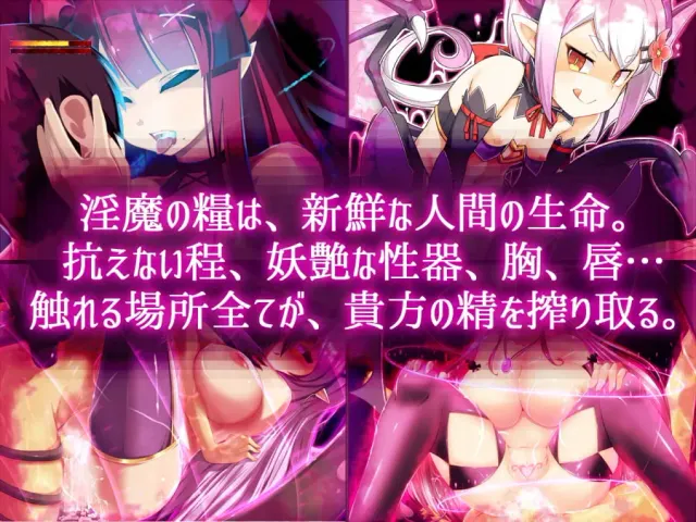 魅魔牢狱～无尽轮回～ 预览图 2