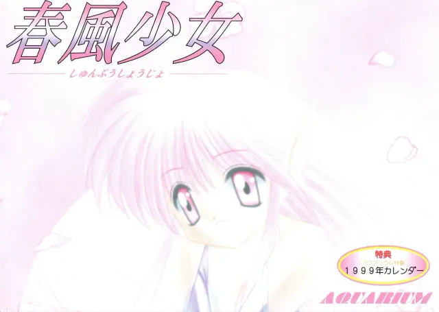 春风少女 封面