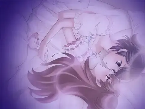 百合二重奏 预览图 8