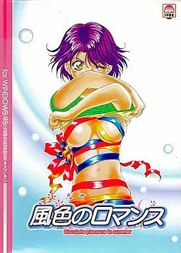 风色的浪漫 封面
