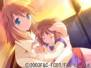 木漏れ日の並木道 预览图 13
