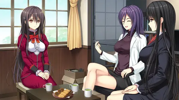 少女爱上姐姐：三颗闪耀之星 预览图 11