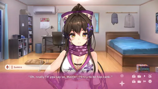 NinNinDays 预览图 1