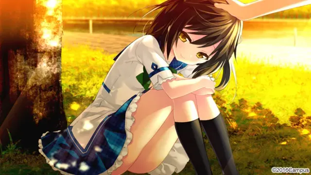 夏天的谎言 -Ahead of the reminiscence- 预览图 16