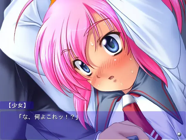 ブルマ汁～肉欲少女人形～ 预览图 2