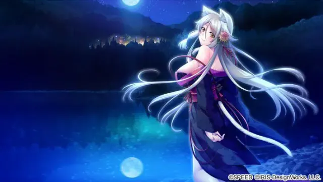 猫姐姐教给我的事 预览图 10