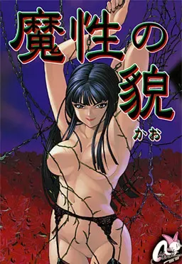 魔性之貌 封面