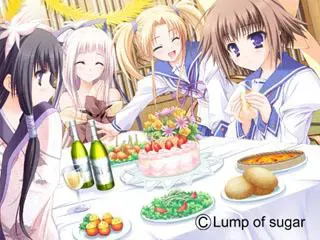 终有一日愿遂彼空 预览图 25